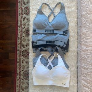 BUNDLE of 6 Sports Bras.   Great gently used condition!